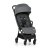 Smoky Anthracite