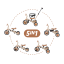 PETITE&MARS Wielofunkcyjny rowerek trójkołowy 5w1 Turbo
