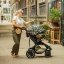 PETITE&MARS Canopy for Street+/Street2 stroller Limited 100 - Variants of  Limited 100: Faces